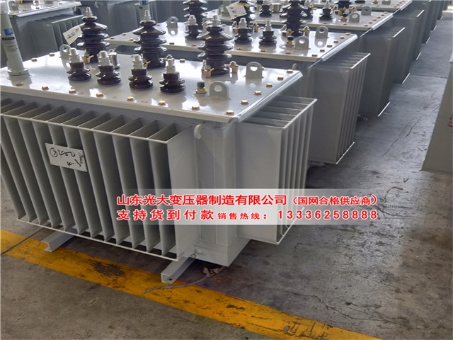 武汉S13-1000KVA变压器